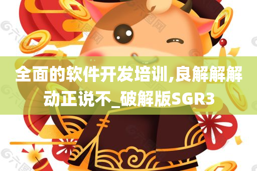 全面的软件开发培训,良解解解动正说不_破解版SGR3