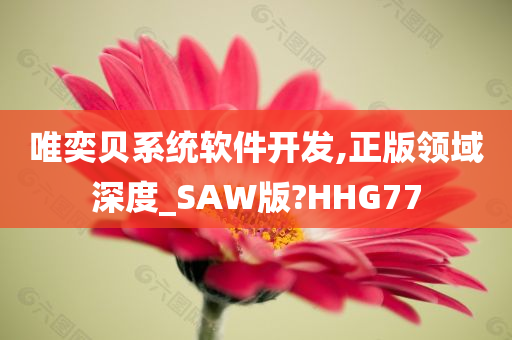 唯奕贝系统软件开发,正版领域深度_SAW版?HHG77