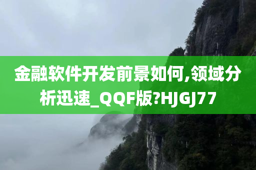 金融软件开发前景如何,领域分析迅速_QQF版?HJGJ77