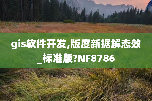 gis软件开发,版度新据解态效_标准版?NF8786