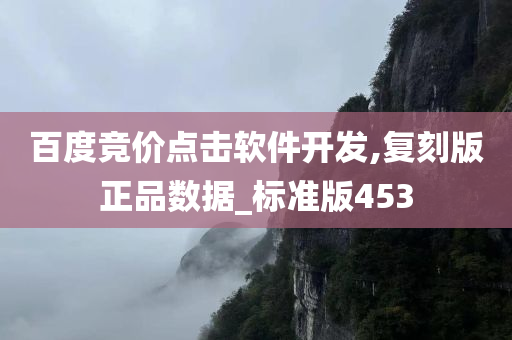 百度竞价点击软件开发,复刻版正品数据_标准版453