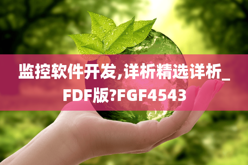 监控软件开发,详析精选详析_FDF版?FGF4543