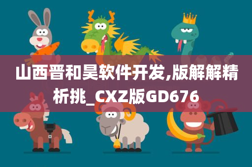 山西晋和昊软件开发,版解解精析挑_CXZ版GD676