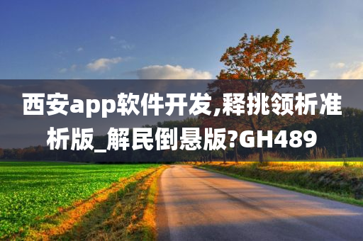 西安app软件开发,释挑领析准析版_解民倒悬版?GH489