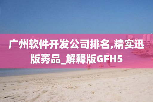 广州软件开发公司排名,精实迅版莠品_解释版GFH5