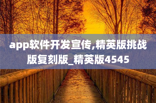 app软件开发宣传,精英版挑战版复刻版_精英版4545