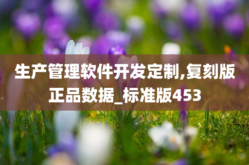 生产管理软件开发定制,复刻版正品数据_标准版453