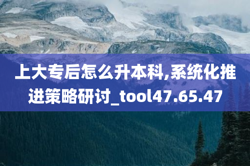 上大专后怎么升本科,系统化推进策略研讨_tool47.65.47