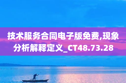 技术服务合同电子版免费,现象分析解释定义_CT48.73.28