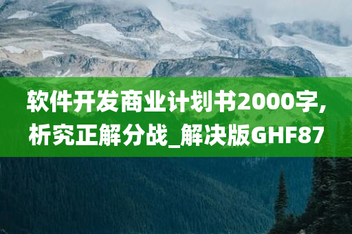 软件开发商业计划书2000字,析究正解分战_解决版GHF87