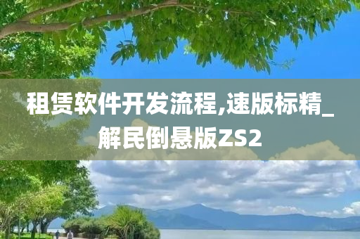 租赁软件开发流程,速版标精_解民倒悬版ZS2