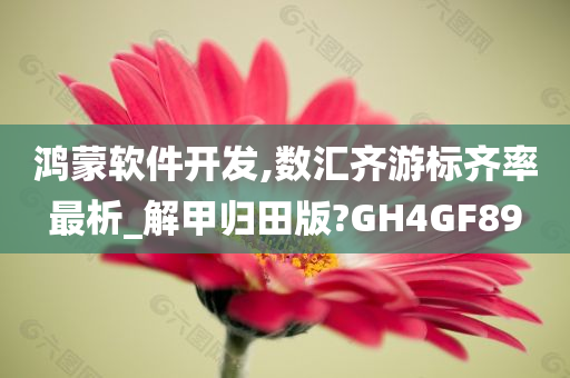 鸿蒙软件开发,数汇齐游标齐率最析_解甲归田版?GH4GF89