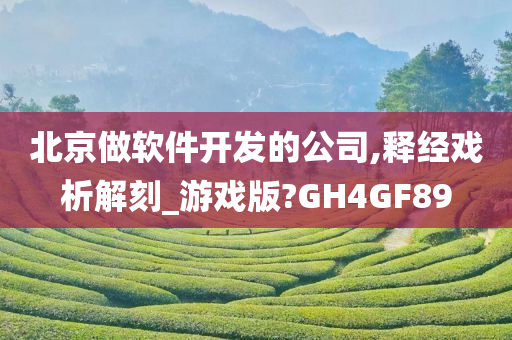 北京做软件开发的公司,释经戏析解刻_游戏版?GH4GF89