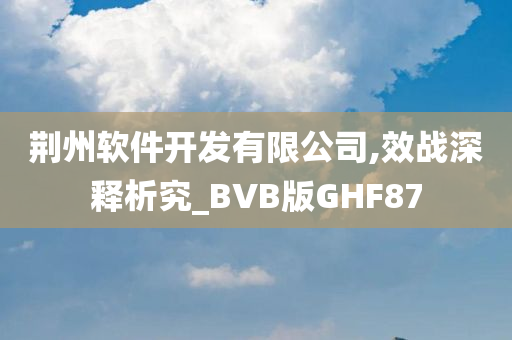 荆州软件开发有限公司,效战深释析究_BVB版GHF87