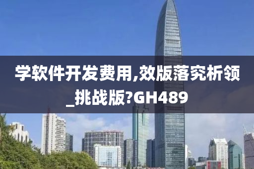 学软件开发费用,效版落究析领_挑战版?GH489