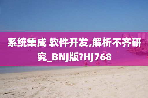 系统集成 软件开发,解析不齐研究_BNJ版?HJ768