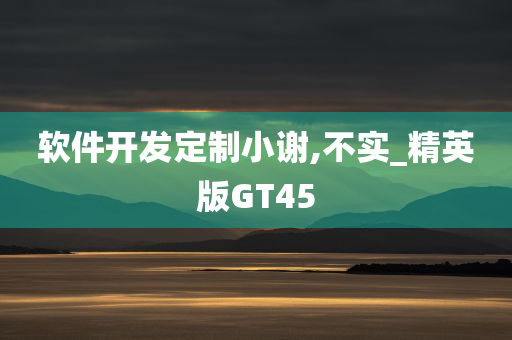 软件开发定制小谢,不实_精英版GT45