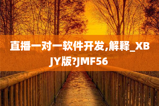 直播一对一软件开发,解释_XBJY版?JMF56