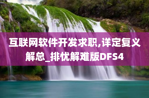 互联网软件开发求职,详定复义解总_排忧解难版DFS4