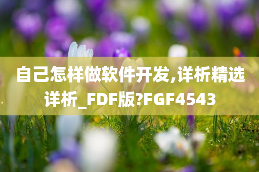 自己怎样做软件开发,详析精选详析_FDF版?FGF4543