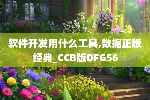 软件开发用什么工具,数据正版经典_CCB版DFG56