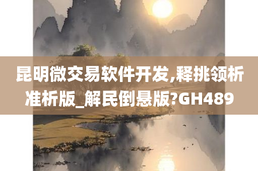 昆明微交易软件开发,释挑领析准析版_解民倒悬版?GH489