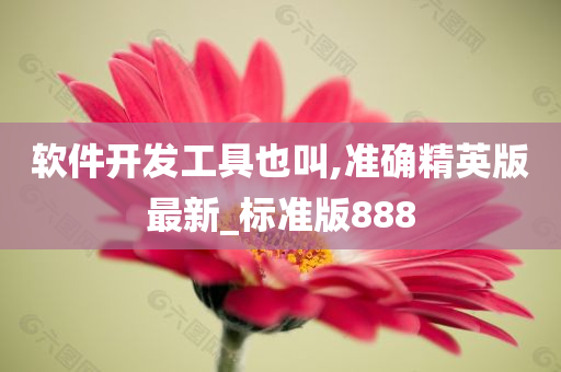 软件开发工具也叫,准确精英版最新_标准版888