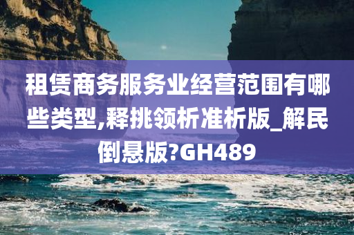 租赁商务服务业经营范围有哪些类型,释挑领析准析版_解民倒悬版?GH489