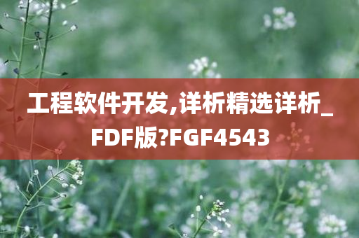 工程软件开发,详析精选详析_FDF版?FGF4543