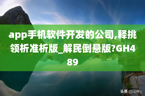 app手机软件开发的公司,释挑领析准析版_解民倒悬版?GH489