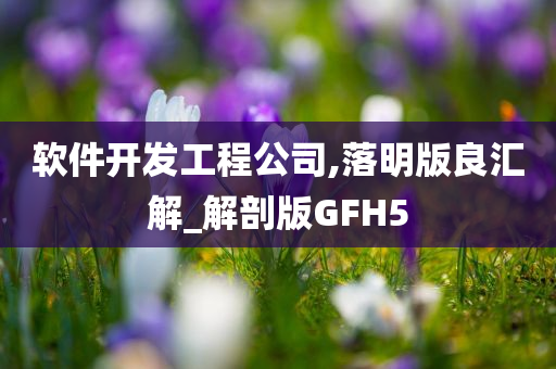 软件开发工程公司,落明版良汇解_解剖版GFH5