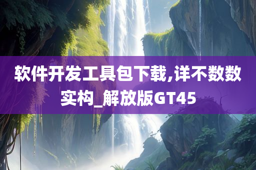 软件开发工具包下载,详不数数实构_解放版GT45