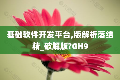 基础软件开发平台,版解析落结精_破解版?GH9