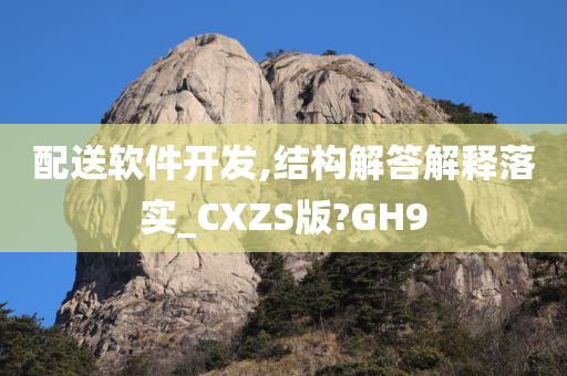 配送软件开发,结构解答解释落实_CXZS版?GH9