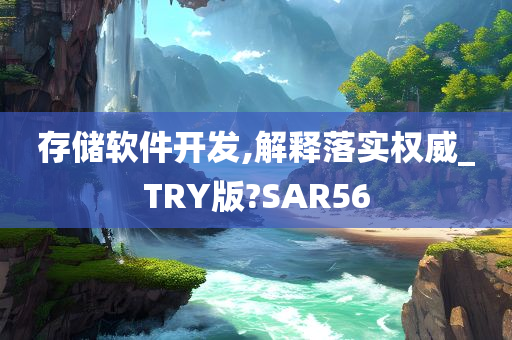 存储软件开发,解释落实权威_TRY版?SAR56