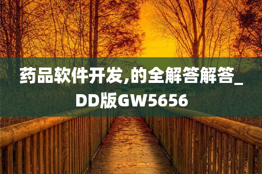 药品软件开发,的全解答解答_DD版GW5656