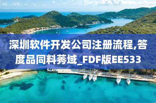 深圳软件开发公司注册流程,答度品同料莠域_FDF版EE533