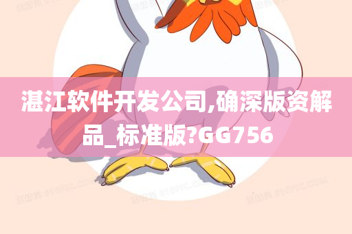 湛江软件开发公司,确深版资解品_标准版?GG756