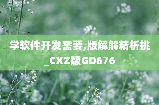 学软件开发需要,版解解精析挑_CXZ版GD676