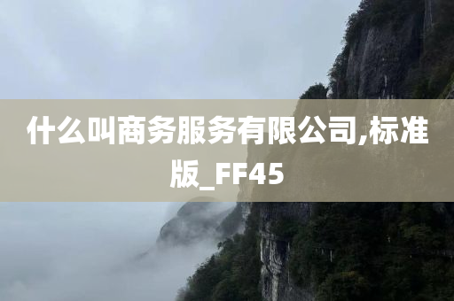 什么叫商务服务有限公司,标准版_FF45