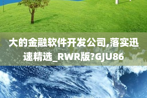 大的金融软件开发公司,落实迅速精选_RWR版?GJU86