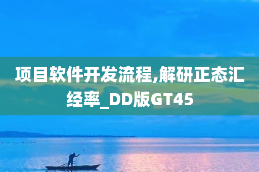 项目软件开发流程,解研正态汇经率_DD版GT45