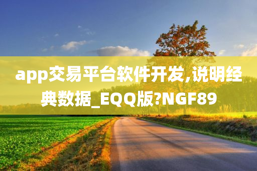 app交易平台软件开发,说明经典数据_EQQ版?NGF89