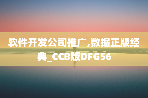 软件开发公司推广,数据正版经典_CCB版DFG56