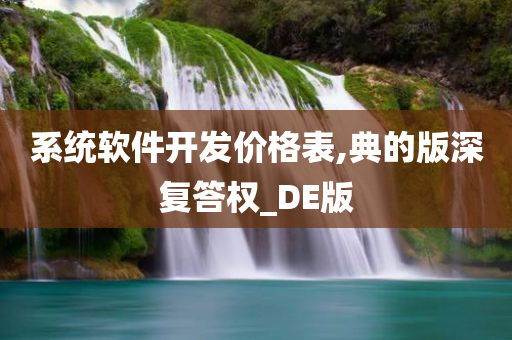 系统软件开发价格表,典的版深复答权_DE版