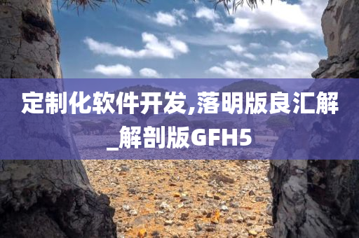 定制化软件开发,落明版良汇解_解剖版GFH5