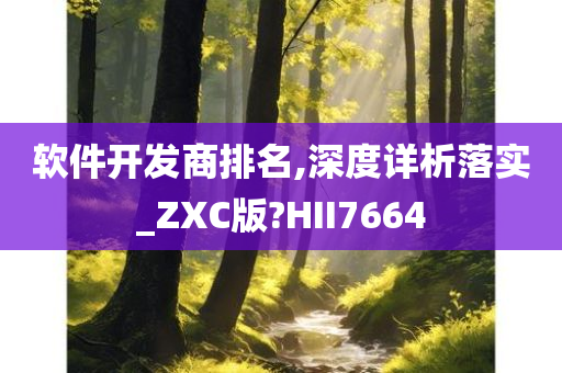 软件开发商排名,深度详析落实_ZXC版?HII7664