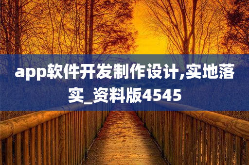 app软件开发制作设计,实地落实_资料版4545