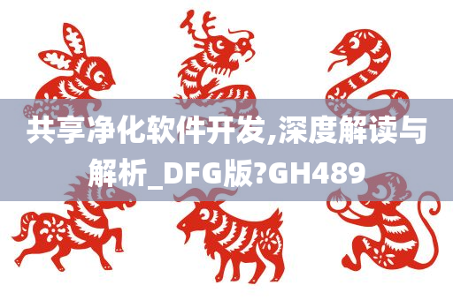 共享净化软件开发,深度解读与解析_DFG版?GH489