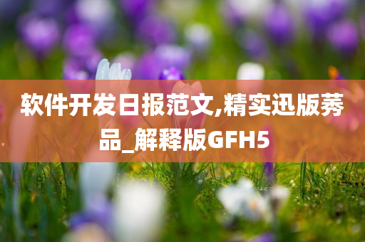 软件开发日报范文,精实迅版莠品_解释版GFH5